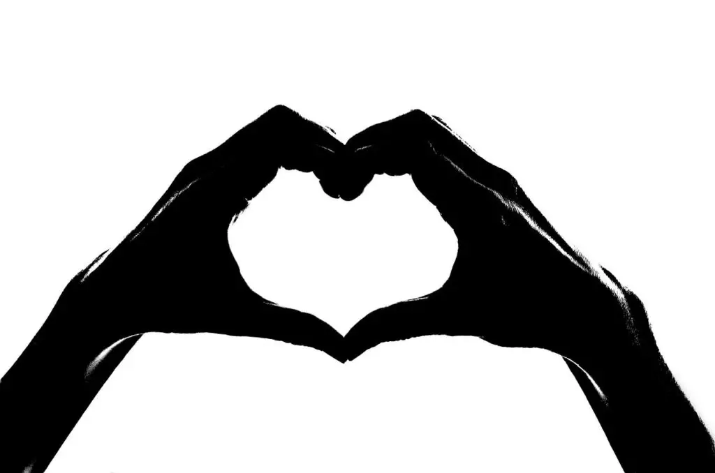 silhouette, heart, hand, love, finger, shape, concept, sign, symbol, partnership, heart, partnership, partnership, partnership, partnership, partnership